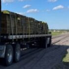 Responding to a Crisis: The Critical Role of Transportation Logistics in Disaster Relief