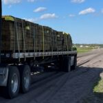Responding to a Crisis: The Critical Role of Transportation Logistics in Disaster Relief